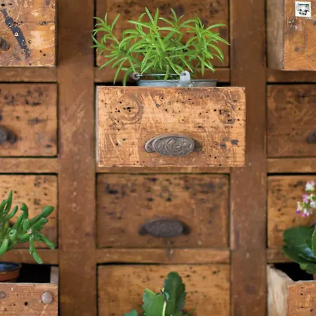 호텔 Montecarlo 3*